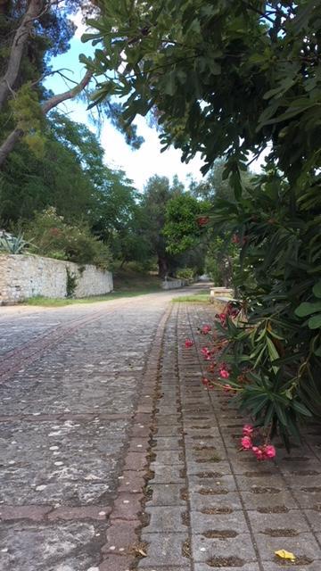 Tenuta Valle Della Corte Vieste Eksteriør billede